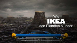 Ikea, le seigneur des forêts háttérkép