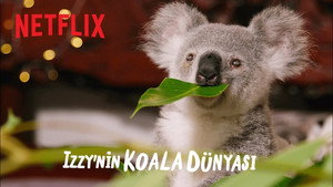 Izzy, a koalamentő kép