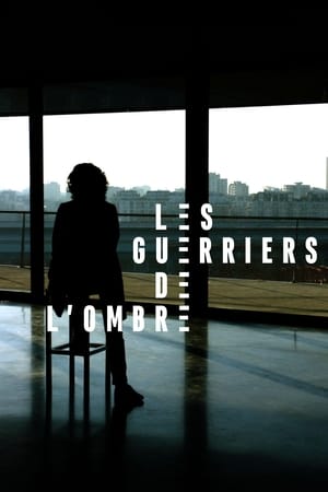 Les guerriers de l'ombre poszter