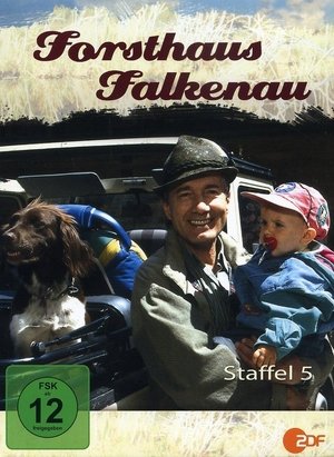 5. évad