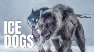 Ice Dogs: The Only Companions Worth Having háttérkép