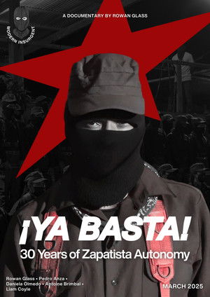¡Ya Basta! 30 Years of Zapatista Autonomy