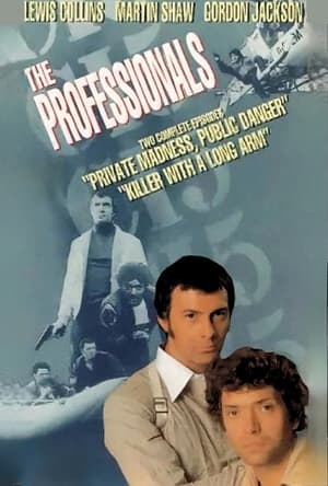 The Professionals poszter