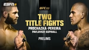 UFC 295: Prochazka vs. Pereira - Prelims háttérkép