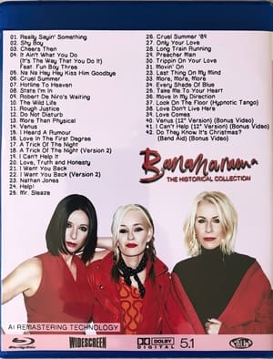 Bananarama The Historical Collection poszter