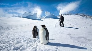 Antarktisz: Egy év a jégen háttérkép