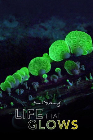 Attenborough's Life That Glows poszter