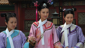 甄嬛传 kép