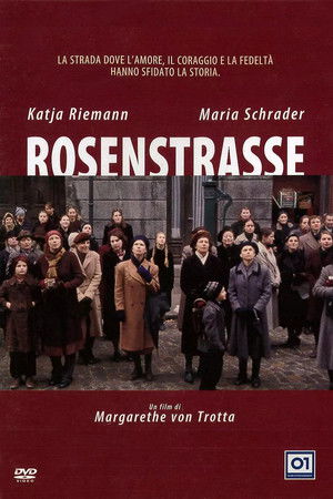 Rosenstraße poszter