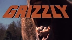 Grizzly háttérkép