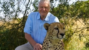 A természet furcsaságai David Attenborough-val 3. évad Ep.1 Elképesztő mutatványok