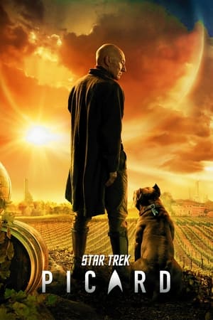 Star Trek: Picard poszter