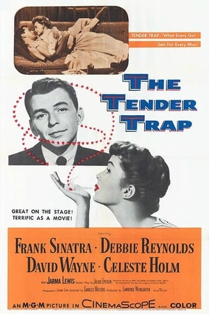 The Tender Trap poszter