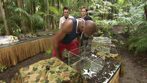 I'm a Celebrity...Get Me Out of Here! Season 2 Ep.7 7. epizód
