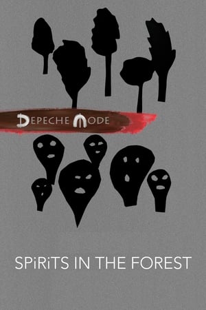 Depeche Mode: Spirits in the Forest poszter