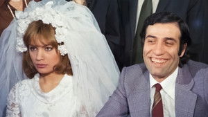 Şaşkın Damat háttérkép