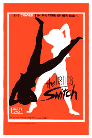 The Big Switch poszter