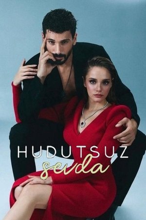 Hudutsuz Sevda poszter
