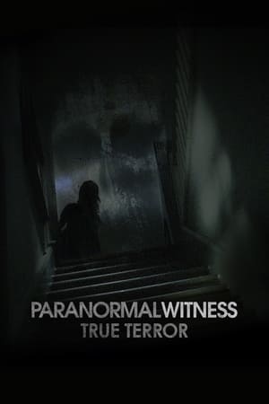 Paranormal Witness poszter