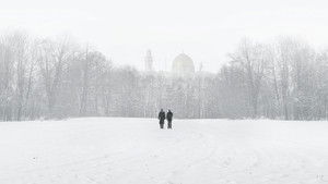 The Oslo Diaries háttérkép