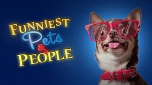 Funniest Pets & People kép