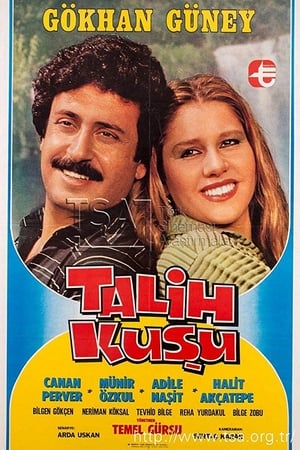 Talih Kuşu poszter