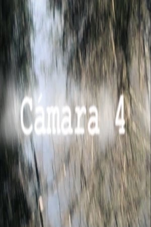 Cámara 4