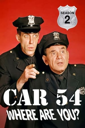 Car 54, Where Are You?