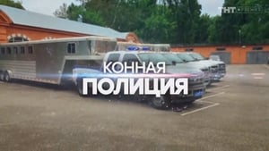 Конная полиция Season 1 Ep.8 8. epizód