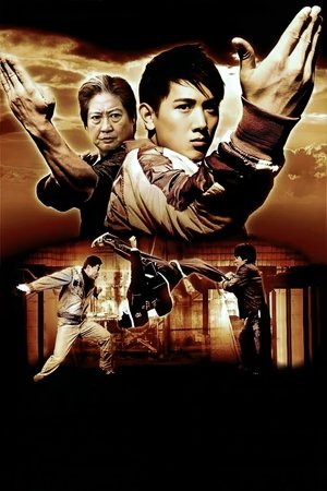 Wushu - A fiatal generáció poszter