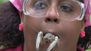 I'm a Celebrity...Get Me Out of Here! Season 10 Ep.14 14. epizód