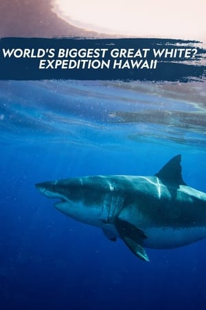 World's Biggest Great White? poszter