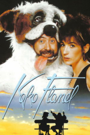 Koko Flanel poszter
