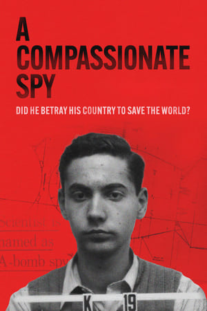 A Compassionate Spy poszter