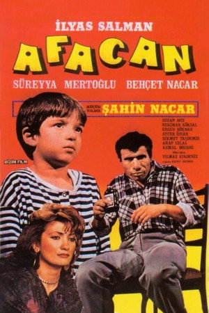 Afacan poszter