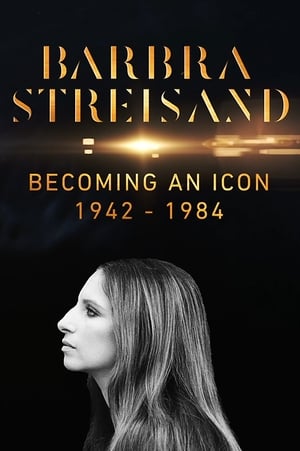 Barbra Streisand, Naissance d'une Icone 1942–1984 poszter