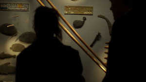 Museum Hours háttérkép