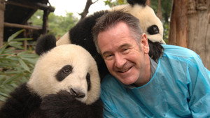 Panda Adventure with Nigel Marven kép
