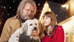 Mr. Stink háttérkép