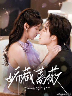 娇藏蔷薇