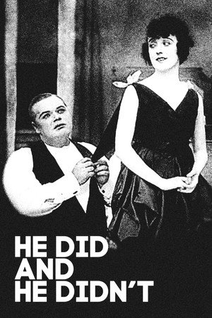He Did and He Didn’t poszter