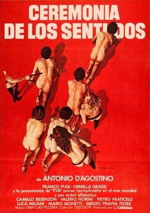 La cerimonia dei sensi poszter