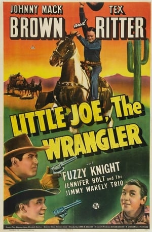 Little Joe, the Wrangler