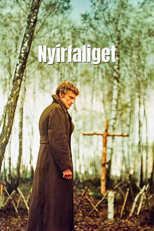 Nyírfaliget