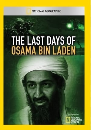 Bin Laden utolsó napjai poszter