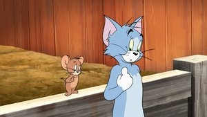 Tom és Jerry - Bajuszvitézek háttérkép
