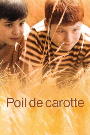 Poil de carotte poszter