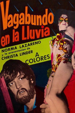 Vagabundo en la lluvia poszter