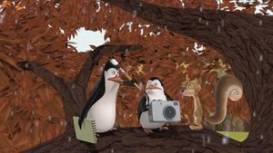 A Madagaszkár pingvinjei 3. évad Ep.31 Hómageddon
