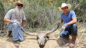 A vademberek Ben Fogle-lal Season 1 Ep.4 Texas